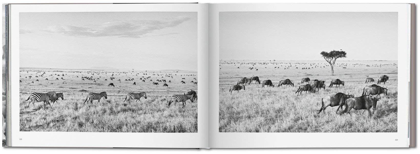 Sebastiao Salgado. Africa_Mia Couto_9783822856215_Taschen GmbH