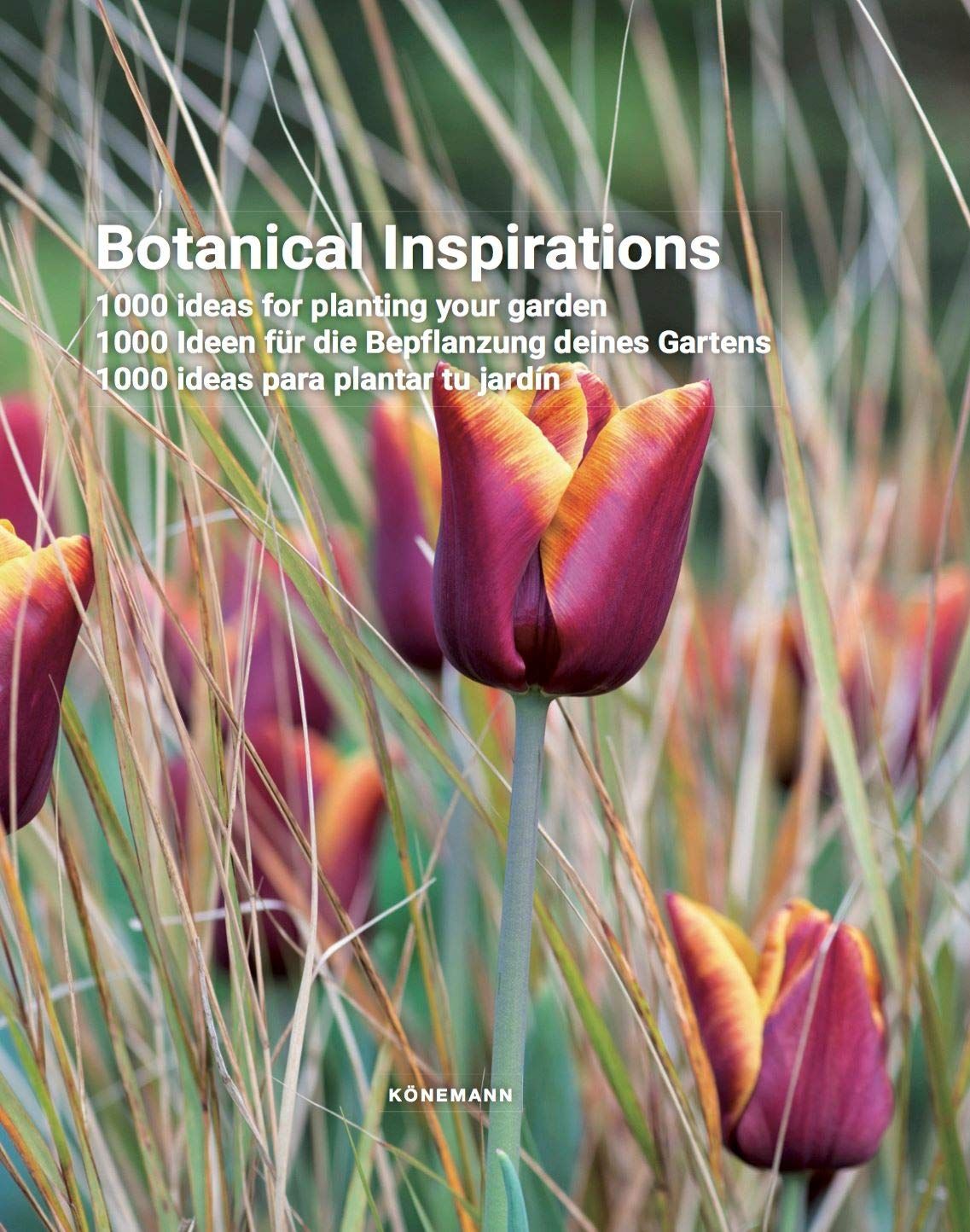 Botanical Inspirations: 1000 Ideas for Planting Your Garden