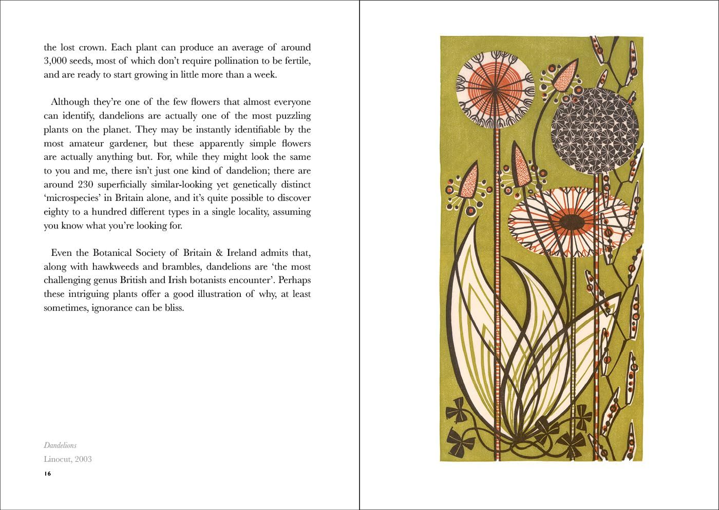 The Book of Wild Flowers: Reflections on Favourite Plants