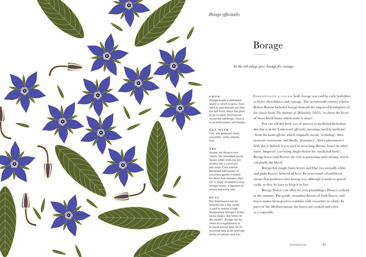 Herbarium One Hundred Herbs . Grow . Cook . Heal