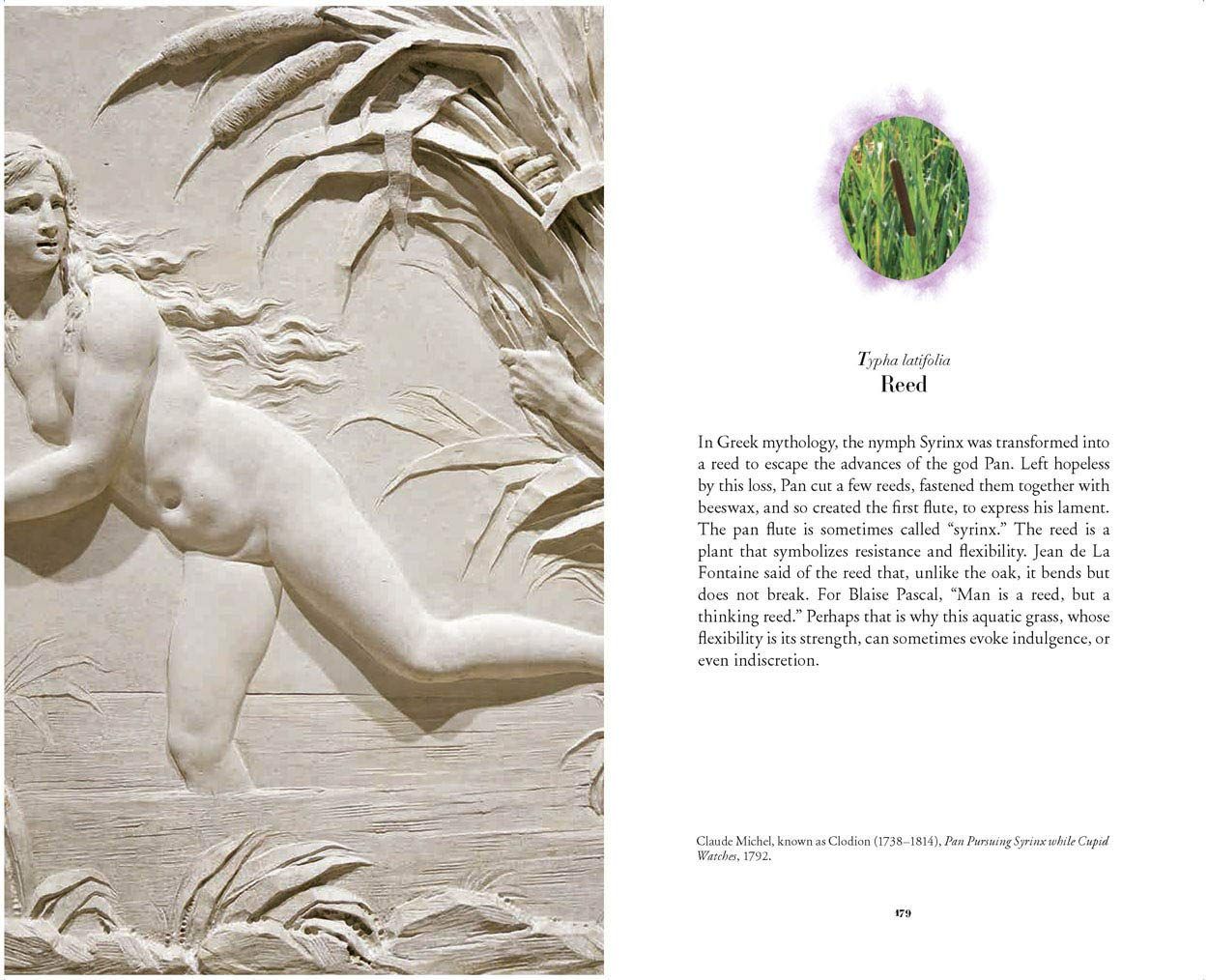 The Secret Language of Flowers : Notes on the hidden meanings of the Louvre's flowers
