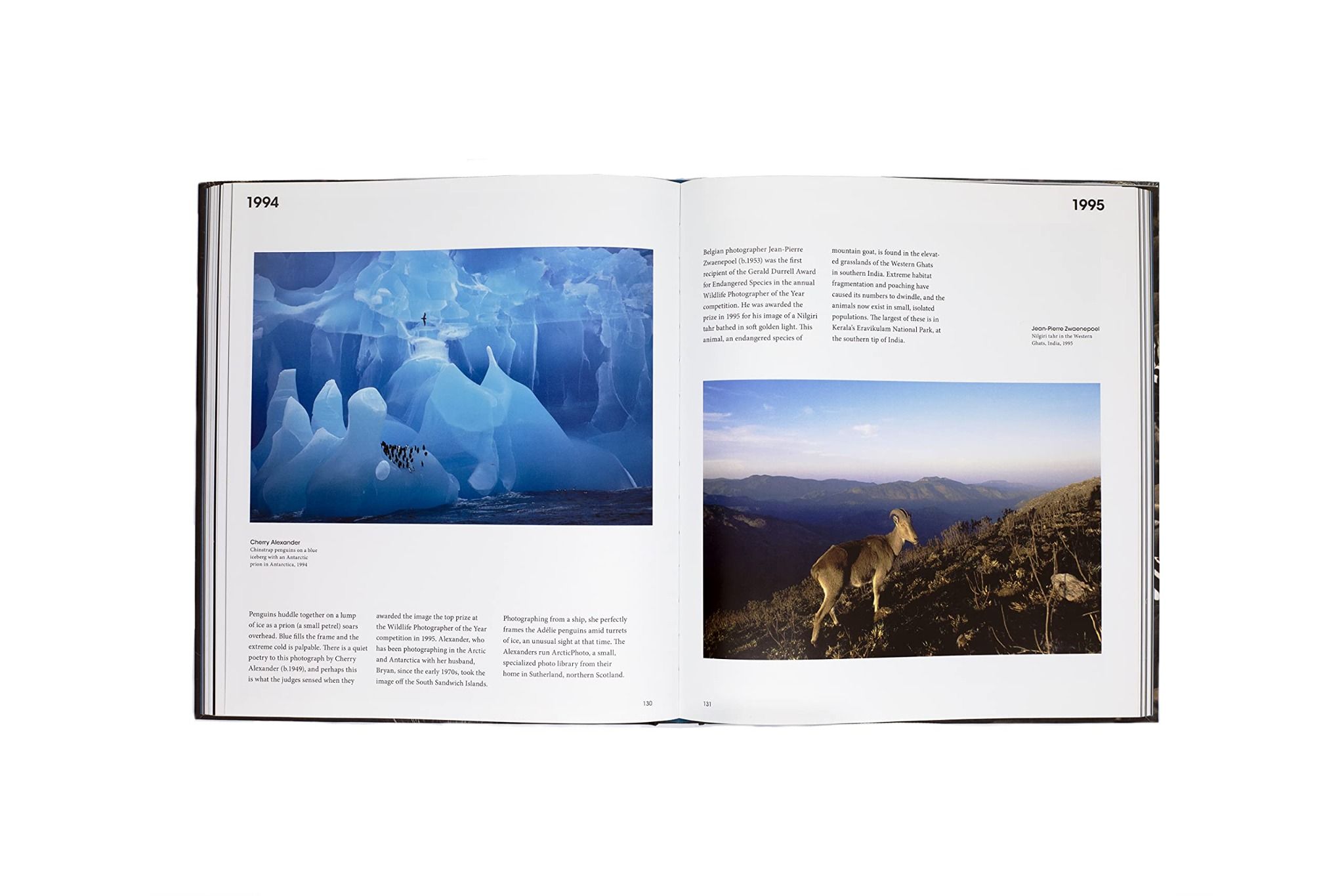 Into The Wild_Gemma Padley_9781913947484_Laurence King Publishing