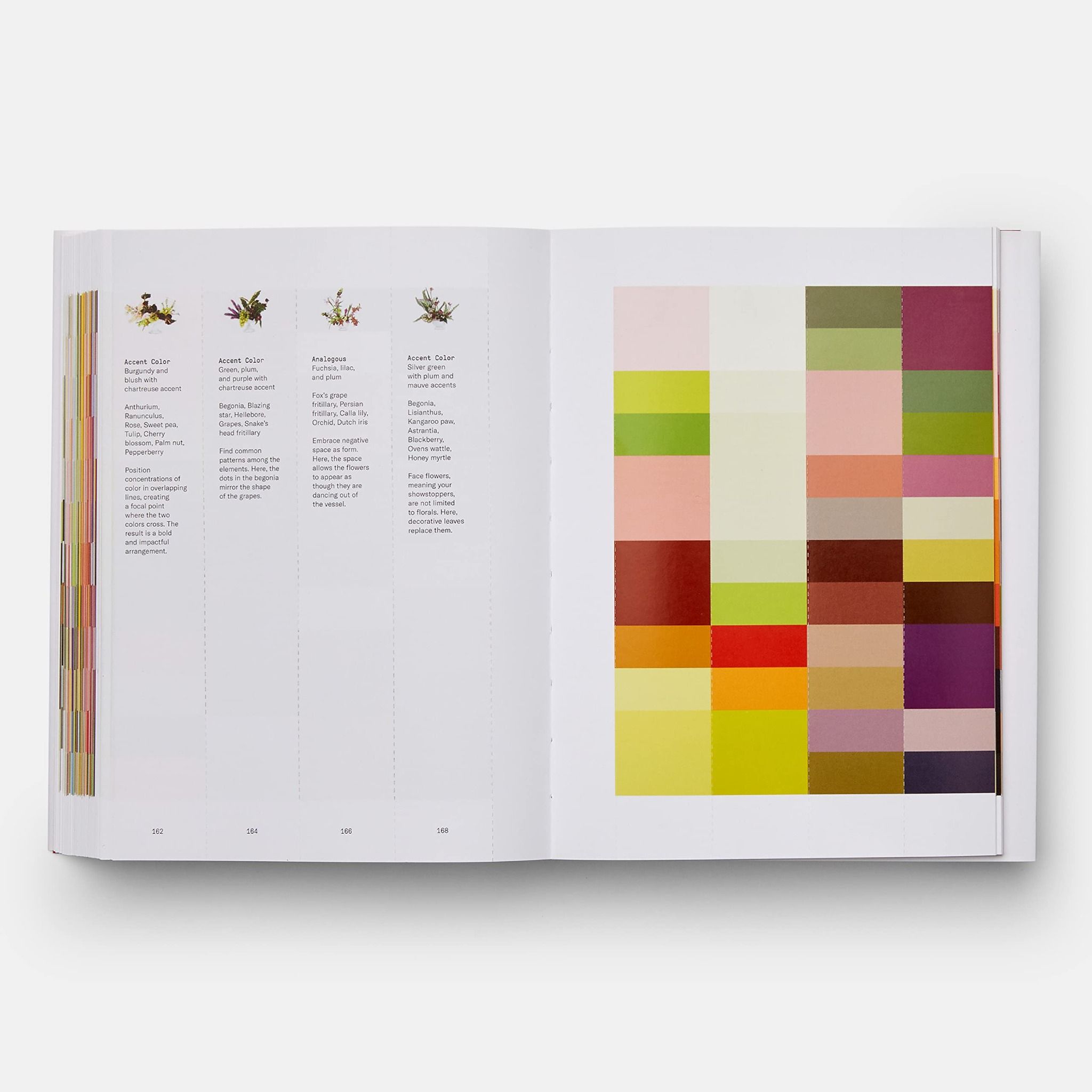 Flower Colour Theory_Taylor Putnam_9781838662356_Phaidon Press Ltd