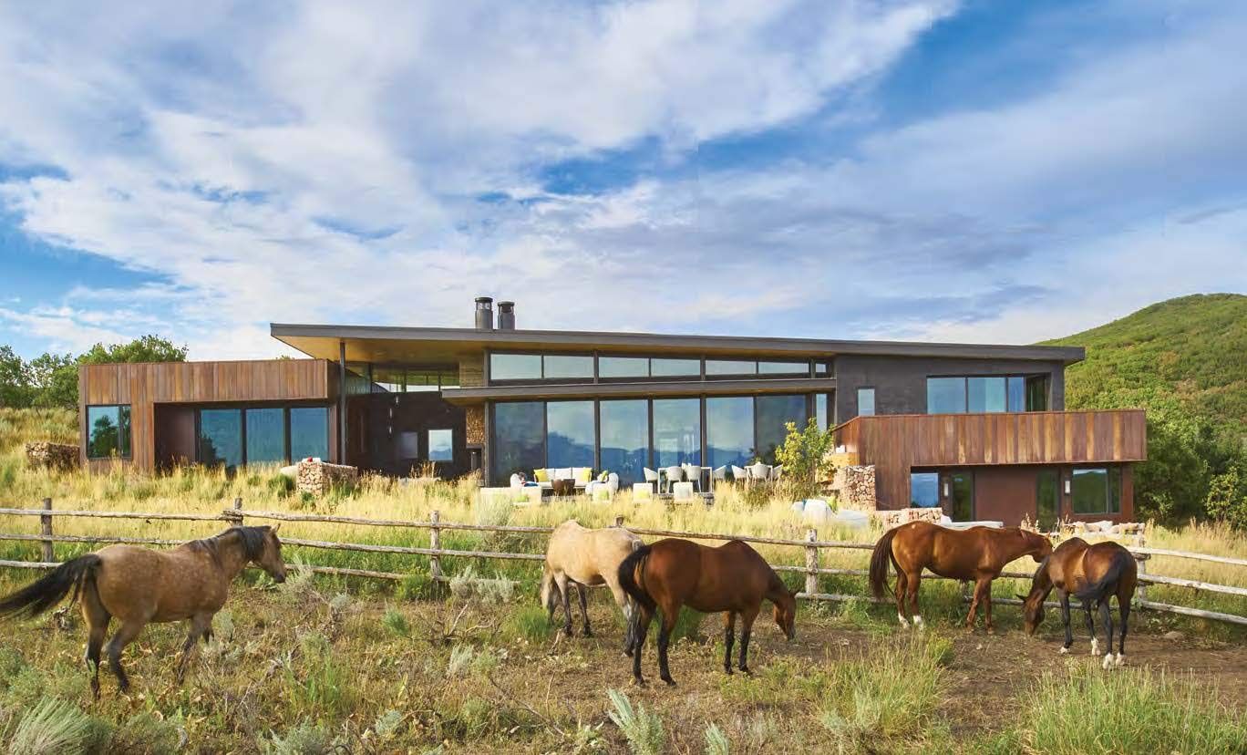 Connection: CCY Architects