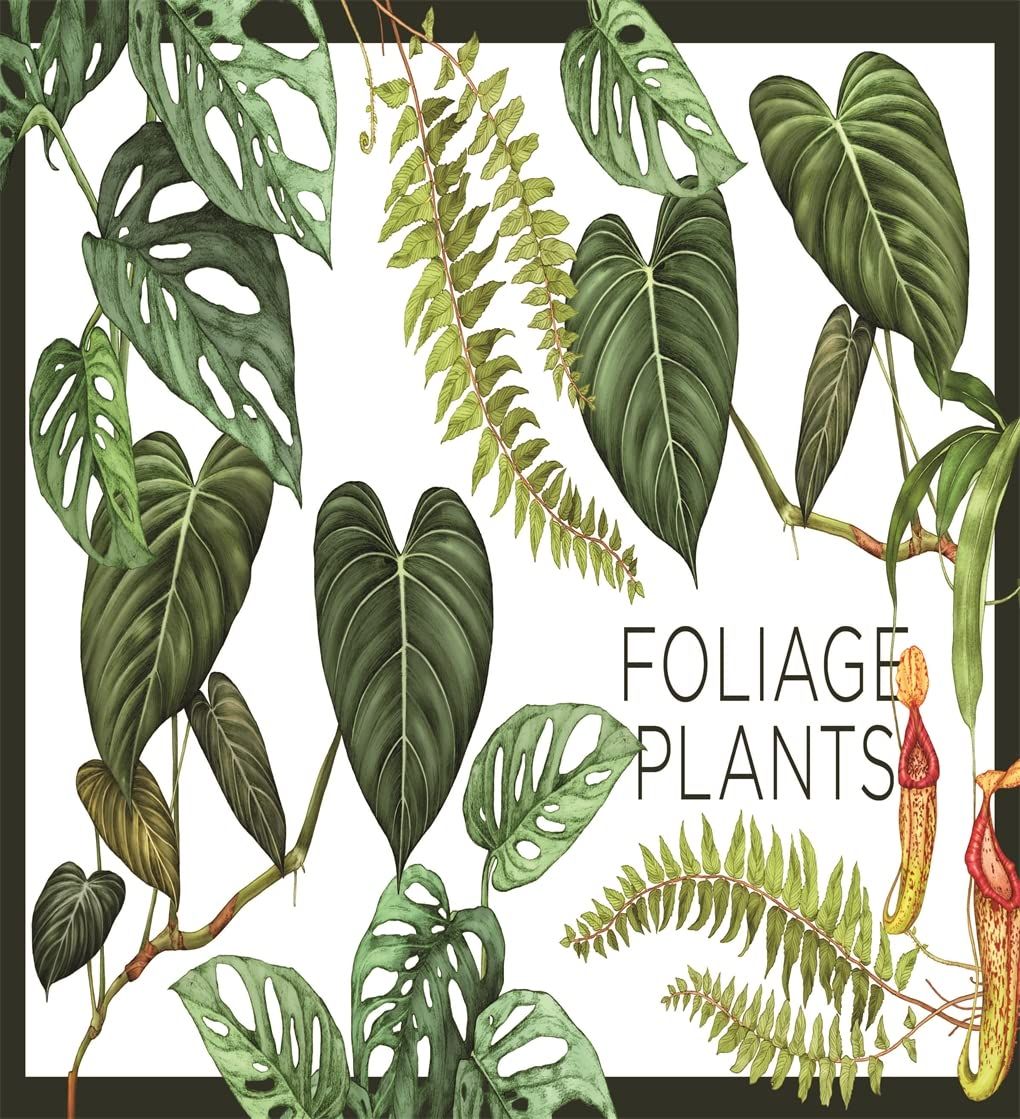 Plantopedia: The Definitive Guide to House Plants