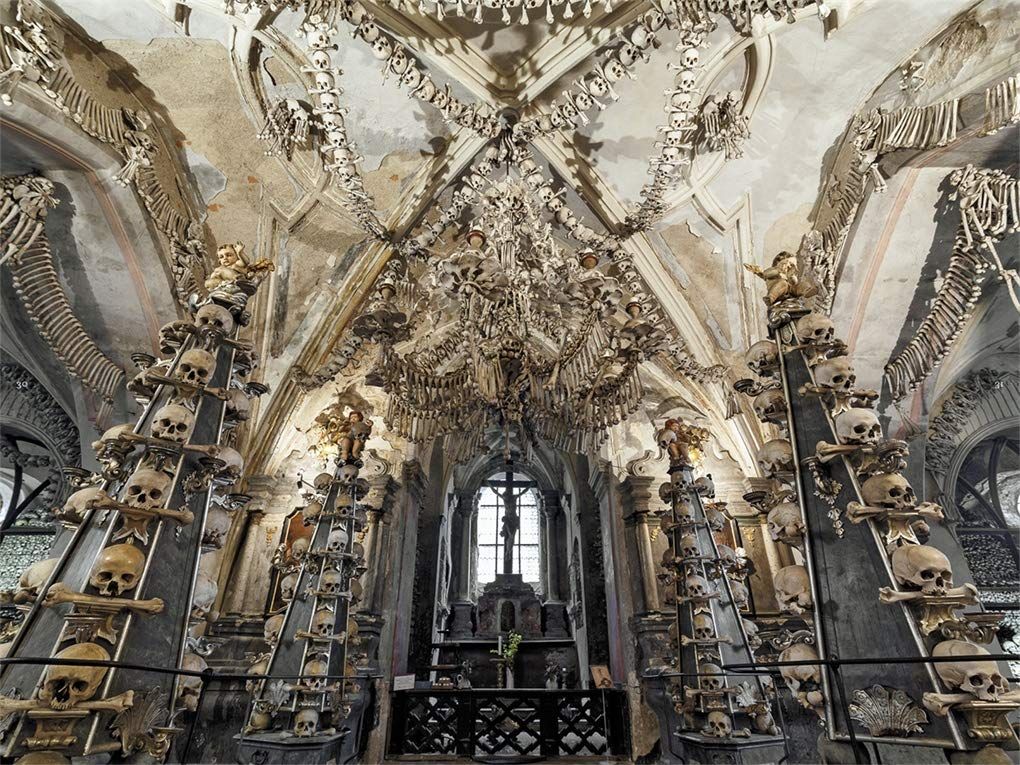Memento Mori : The Dead Among Us
