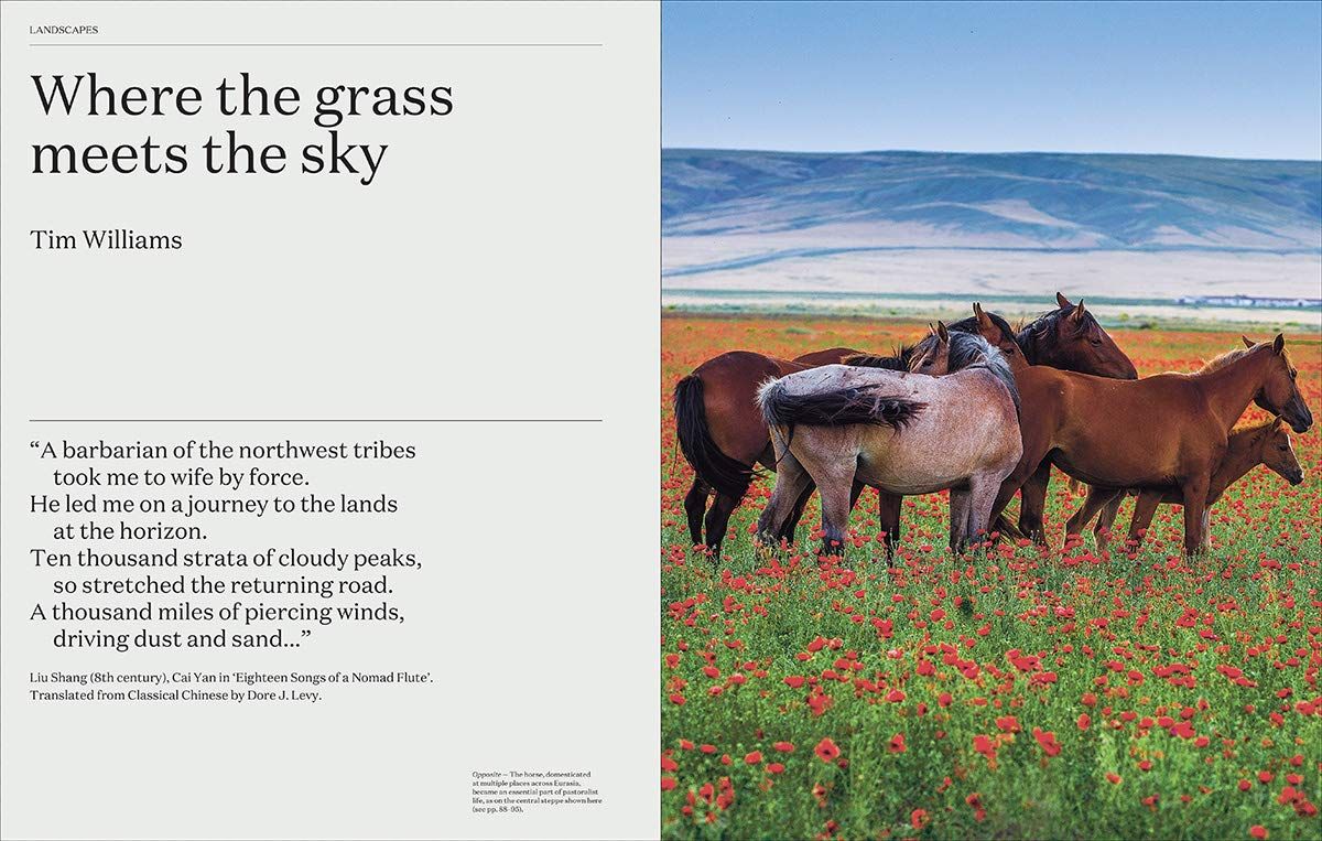 Silk Roads: Peoples, Cultures, Landscapes_SUSAN WHITFIELD_9780500021576_Thames & Hudson Ltd