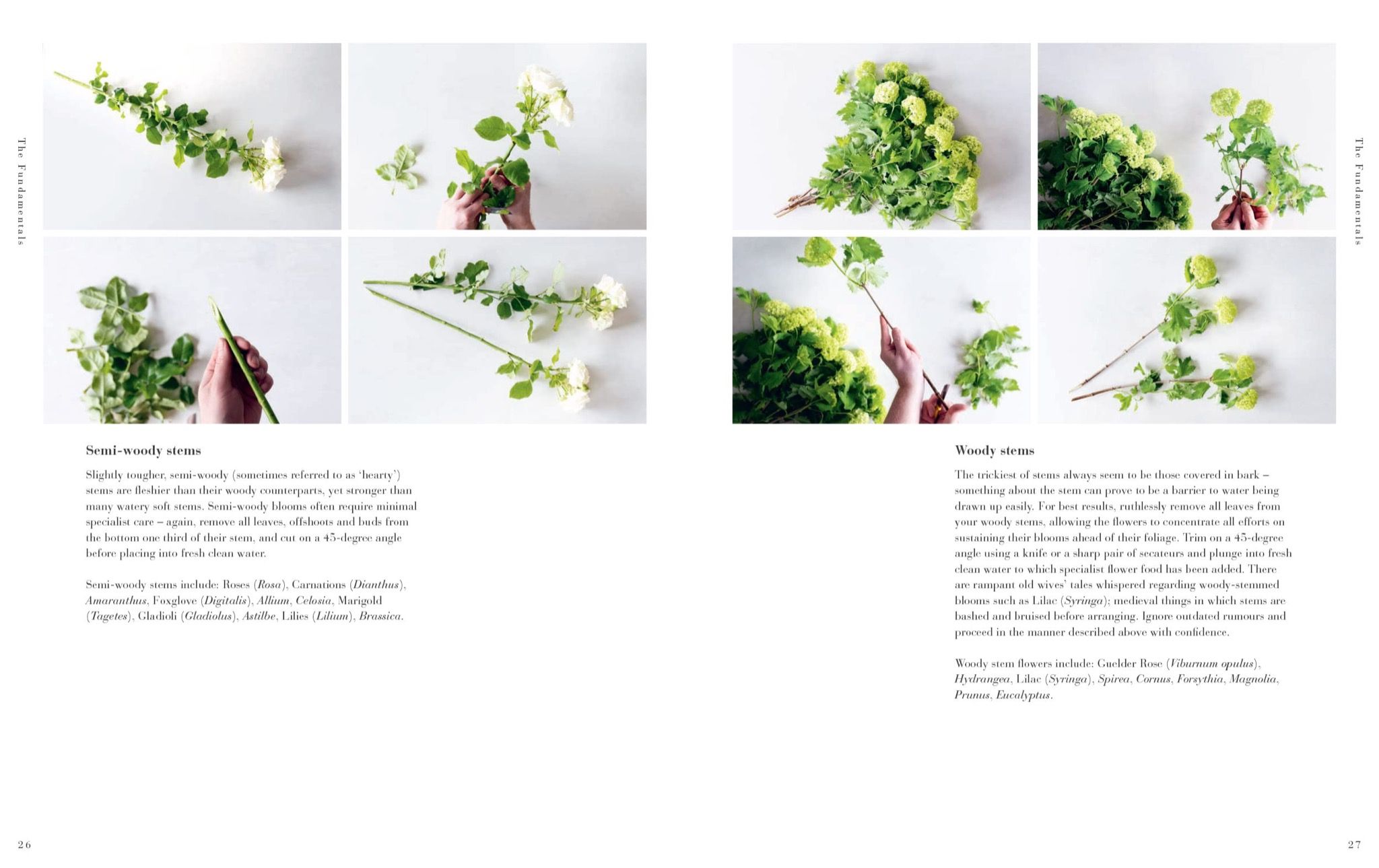 The Flower School : The Principles and Pleasures of Good Flowers