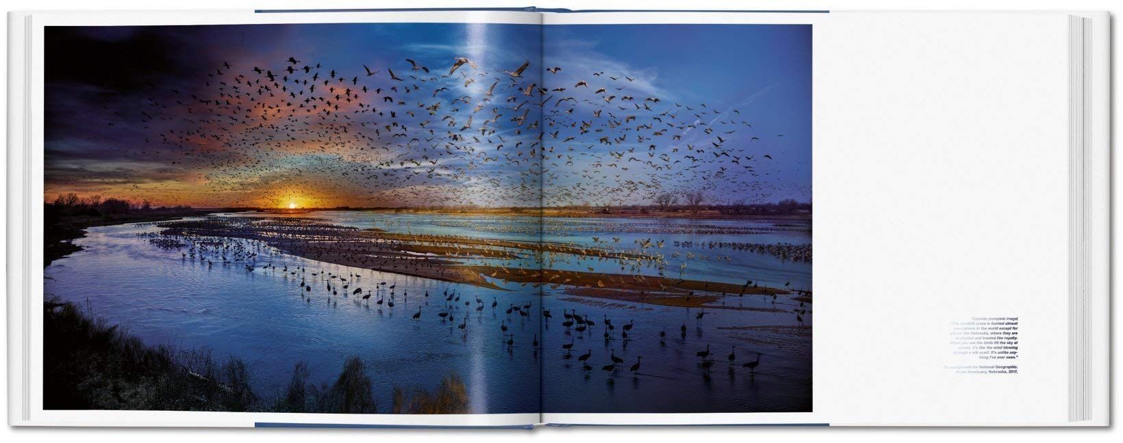 Day To Night_ Stephen Wilkes_Lyle Rexer_9783836562690_TASCHEN