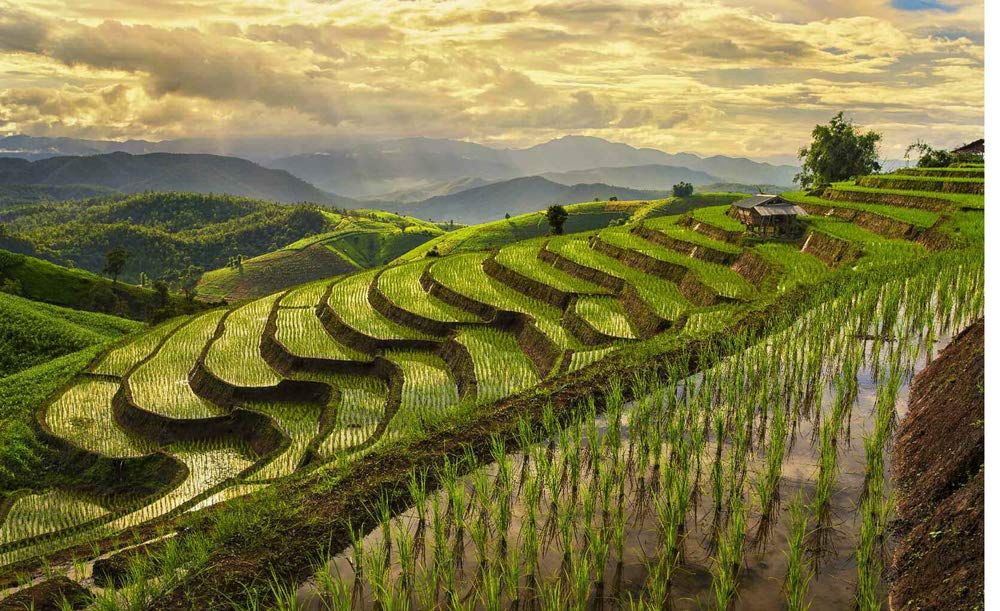 Thailand