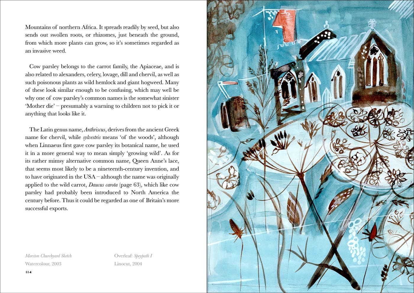 The Book of Wild Flowers: Reflections on Favourite Plants