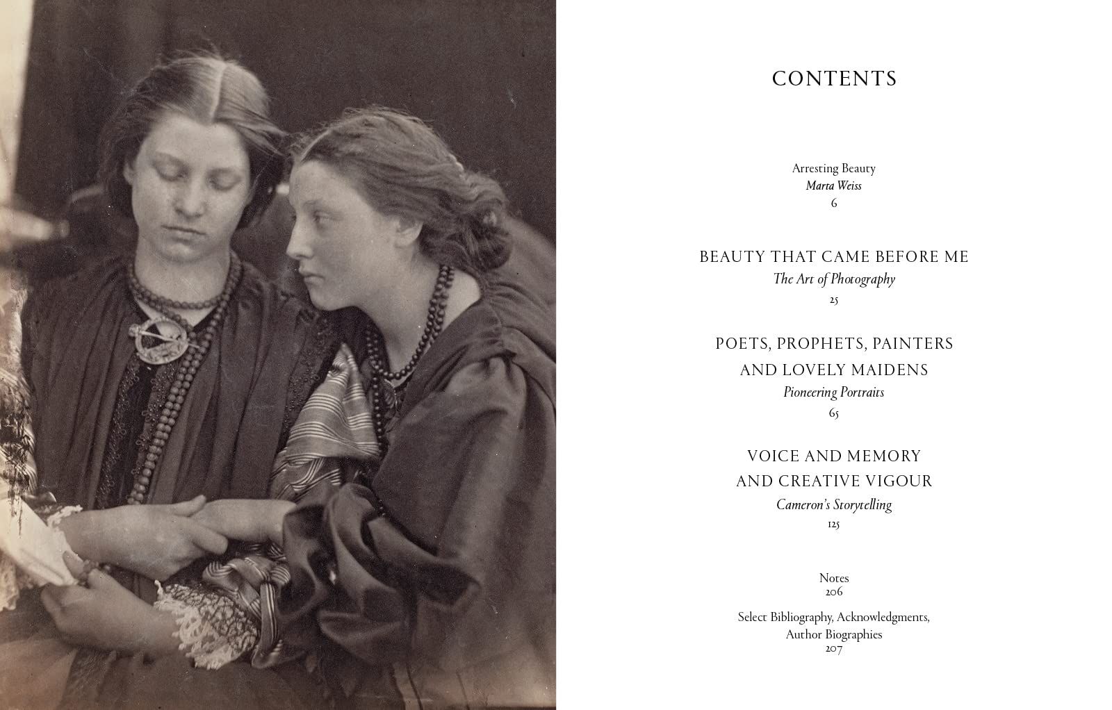 Julia Margaret Cameron - Arresting Beauty (Victoria and Albert Museum)