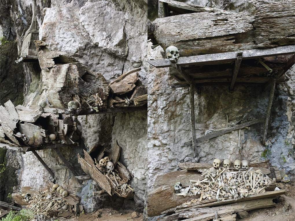 Memento Mori : The Dead Among Us