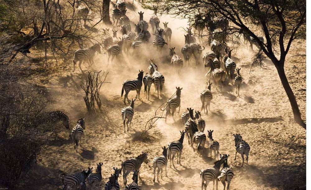 Deserts of the World