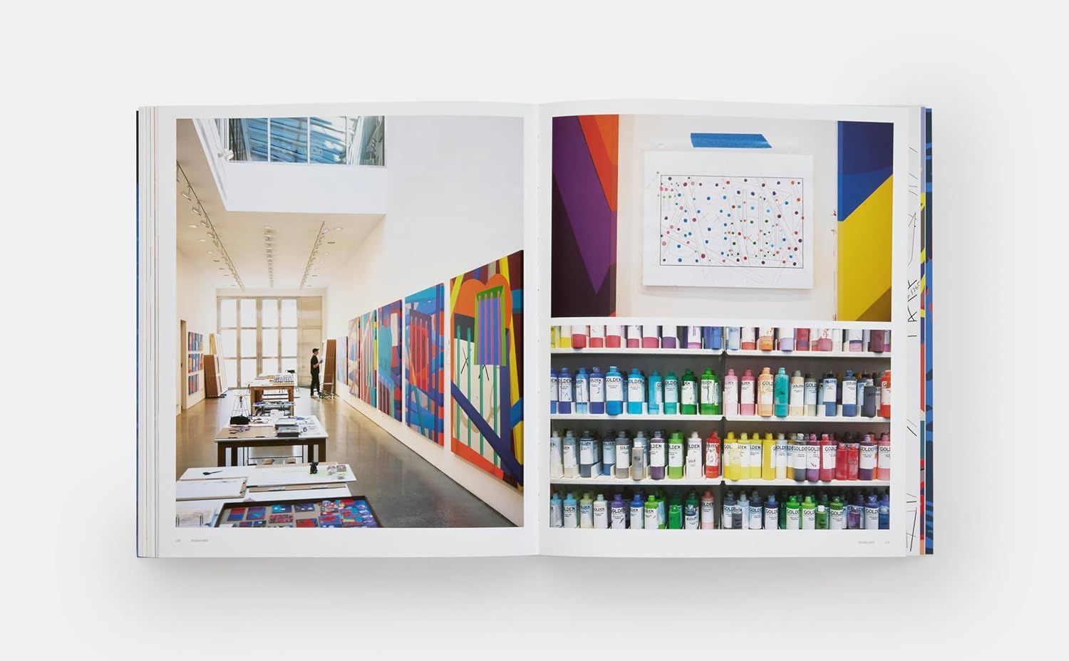 KAWS (Phaidon Contemporary Artists Series)