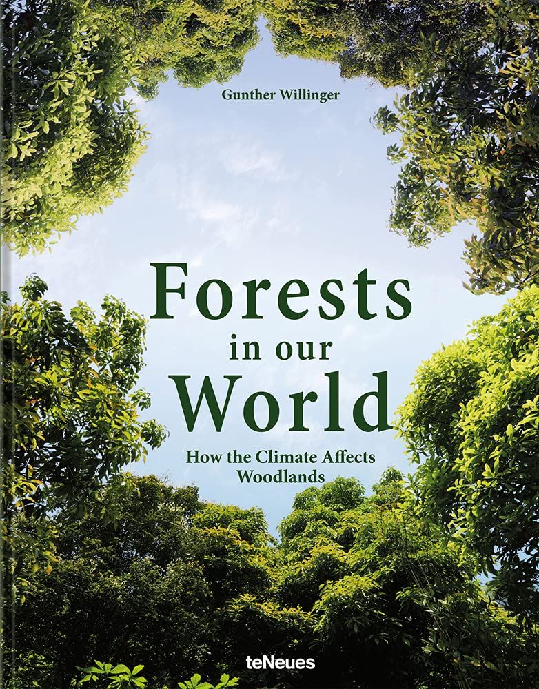 Forests in our World: How the Climate Affects Woodlands