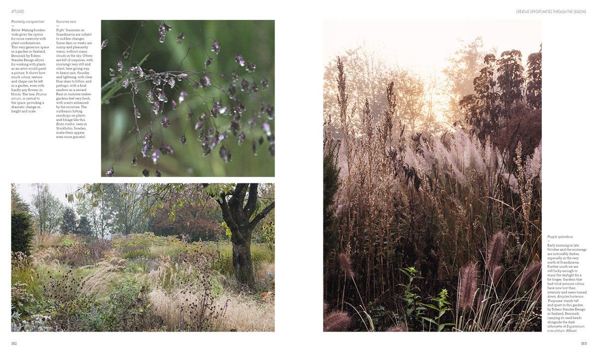 New Nordic Gardens: Scandinavian Landscape Design_Annika Zetterman_9780500296141_Thames & Hudson Ltd