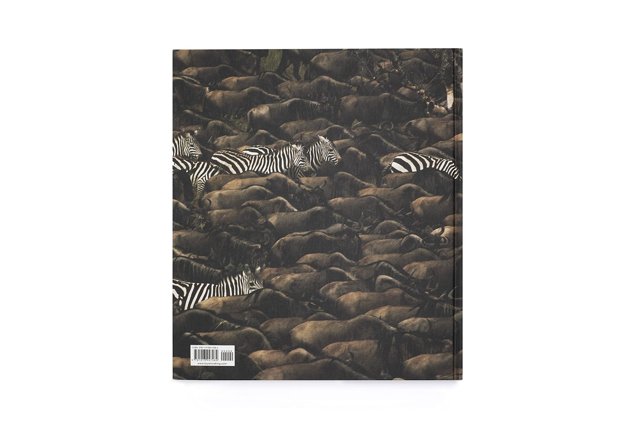 Into The Wild_Gemma Padley_9781913947484_Laurence King Publishing