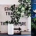 Inspired by Nature: Creating a personal and natural interior