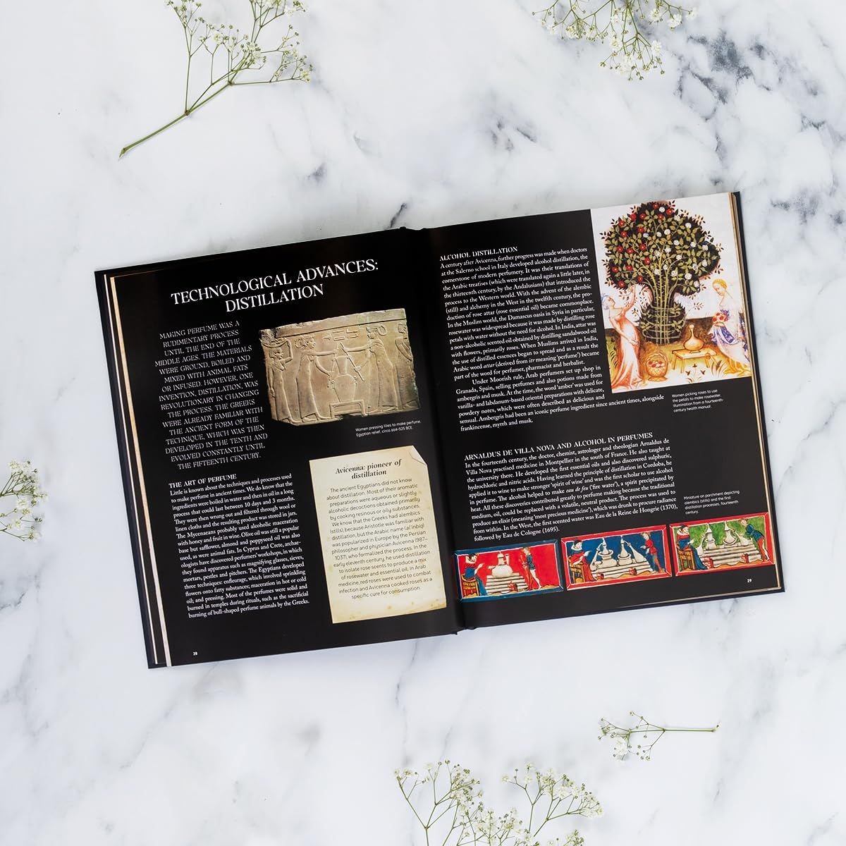 The Story of Perfume: A lavishly illustrated guide