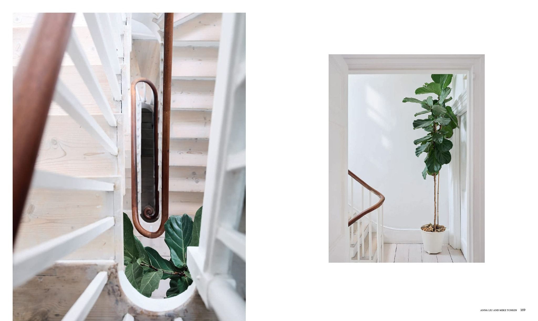 A New Leaf: Curated Houses Where Plants Meet Design_Jennifer Haslam_9781784884628_Hardie Grant Books (UK)