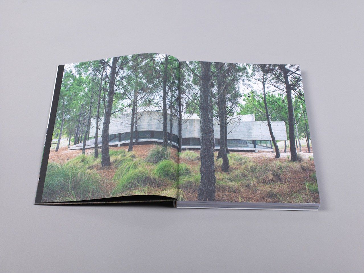 L4 House_Oscar Riera Ojeda_9781946226013_Oscar Riera Ojeda Publishers Limited
