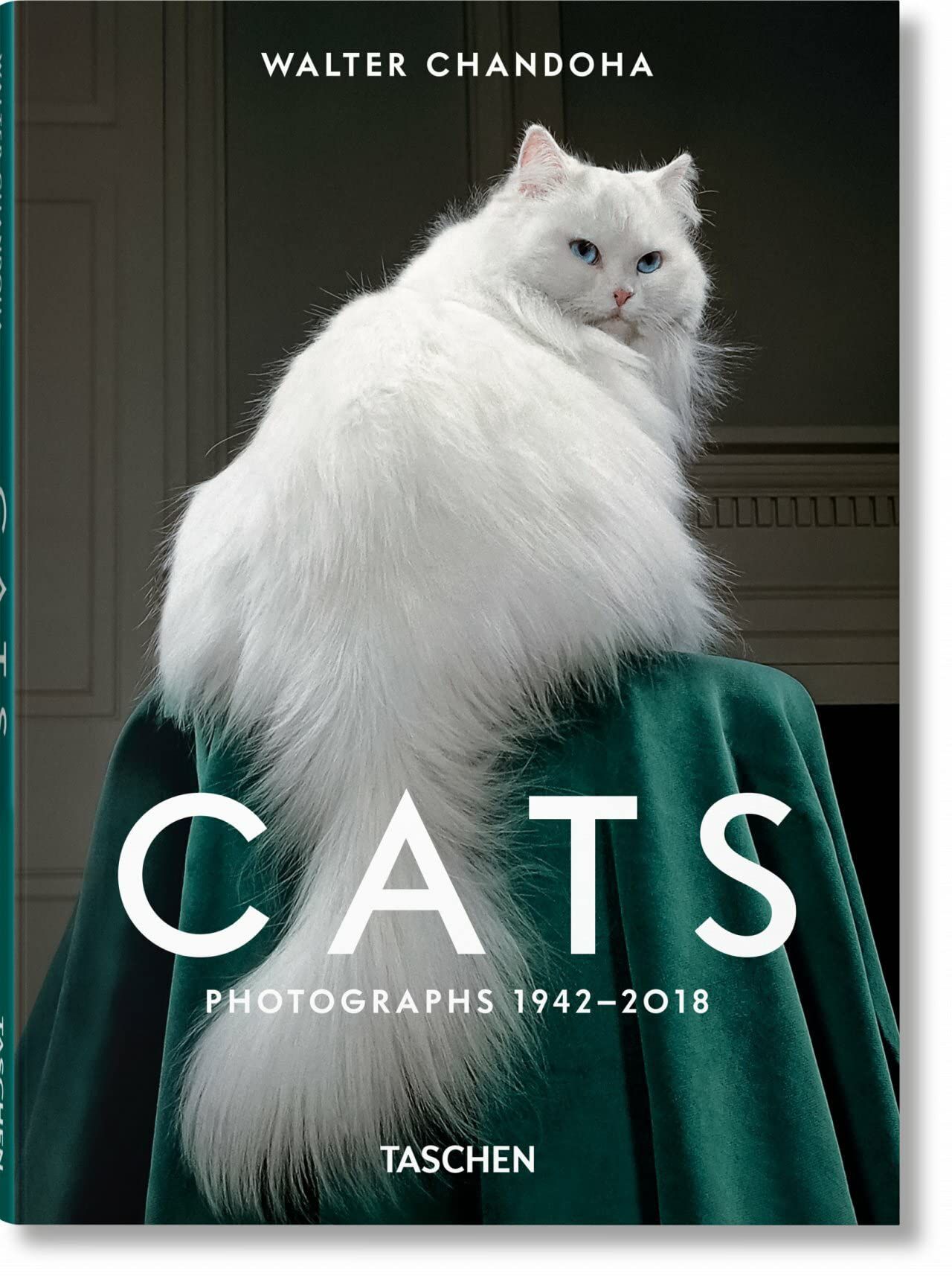 Cats (Small Size)
