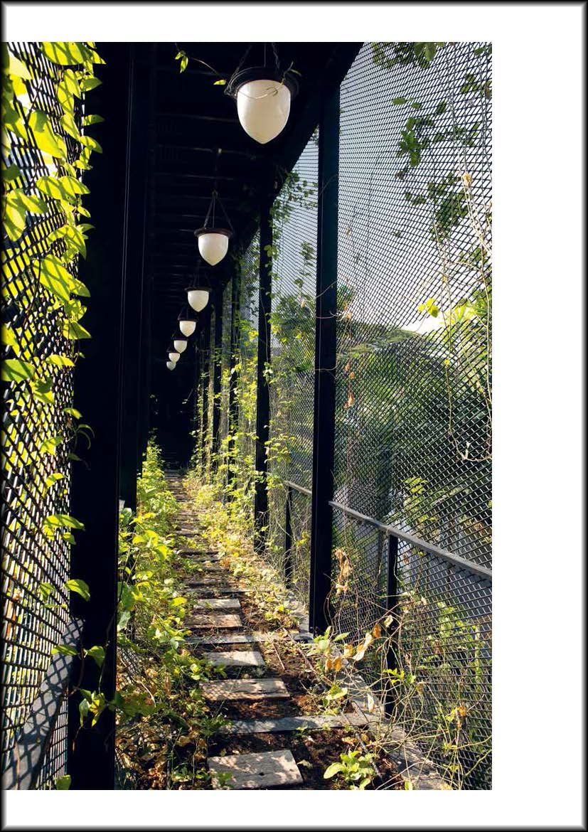 Botanical Buildings