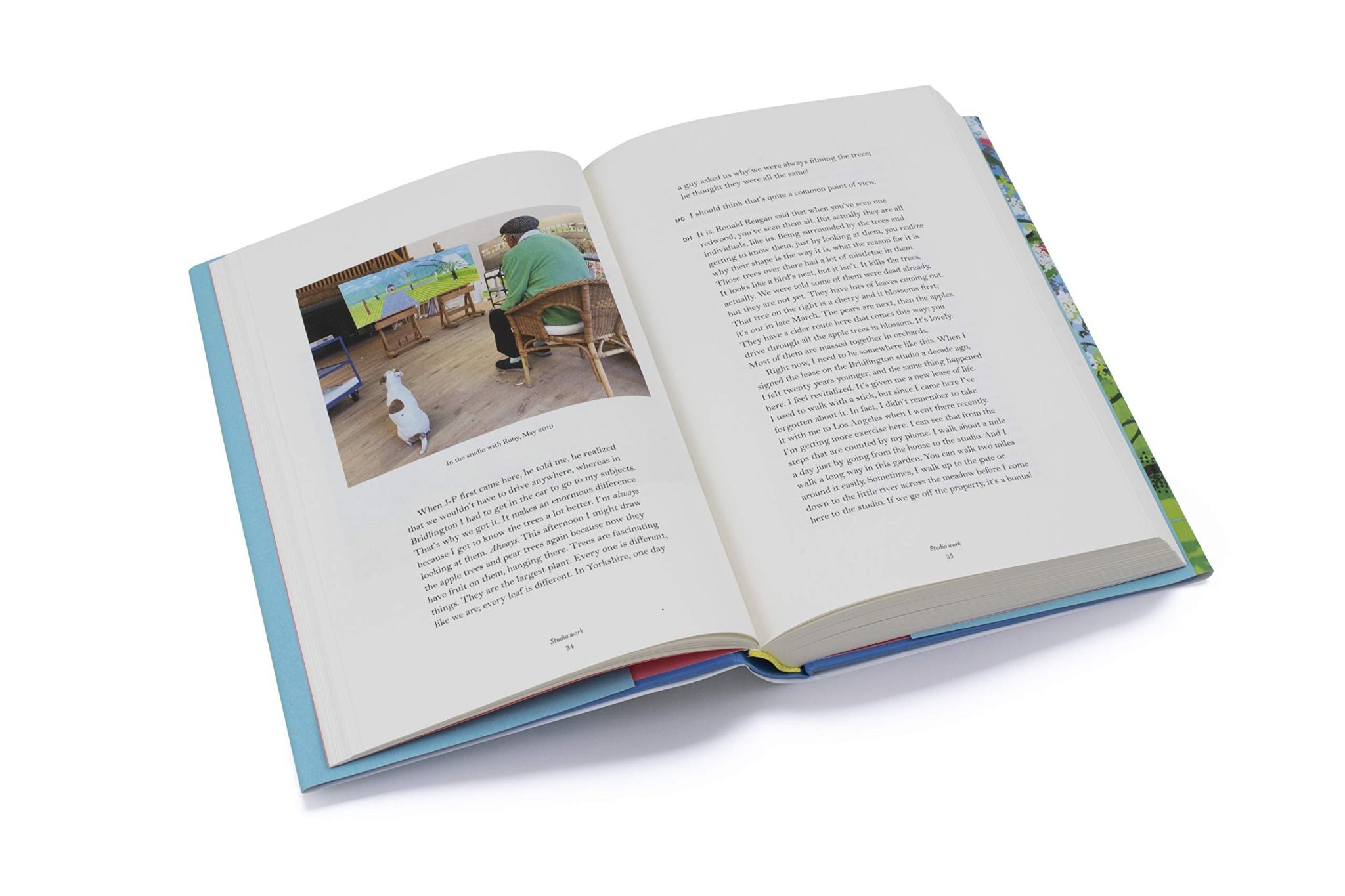 Spring Cannot Be Cancelled_Martin Gayford & David Hockney_9780500094365_Thames & Hudson