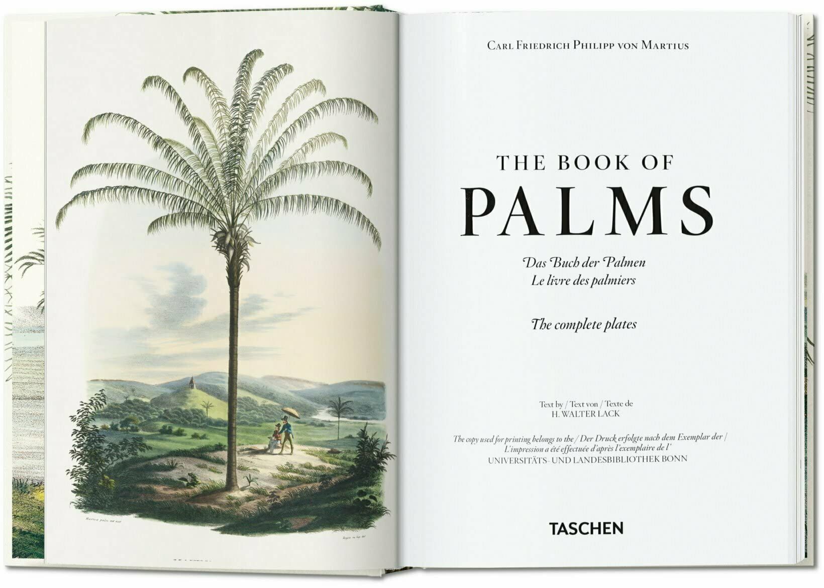  Martius. The Book of Palms. 40th Ed. 