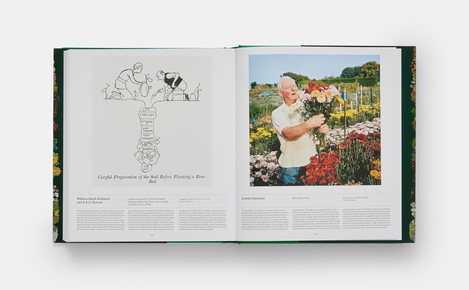 Garden: Exploring the Horticultural World