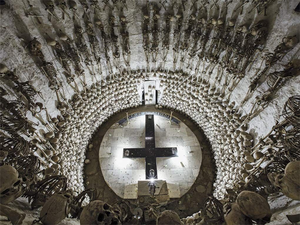 Memento Mori : The Dead Among Us