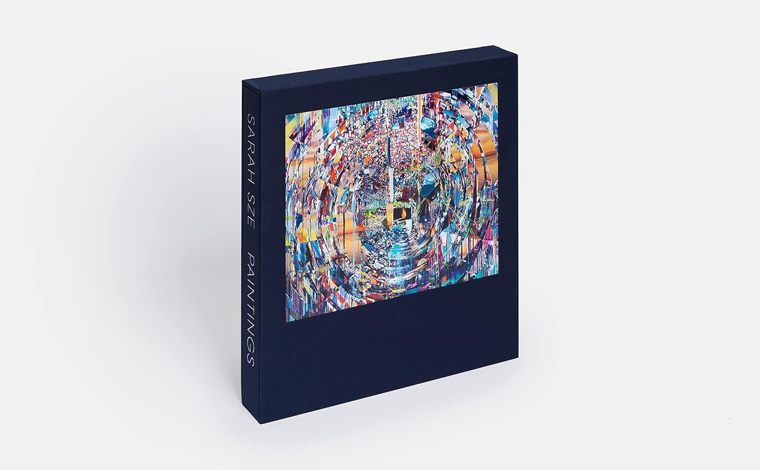Sarah Sze: Paintings