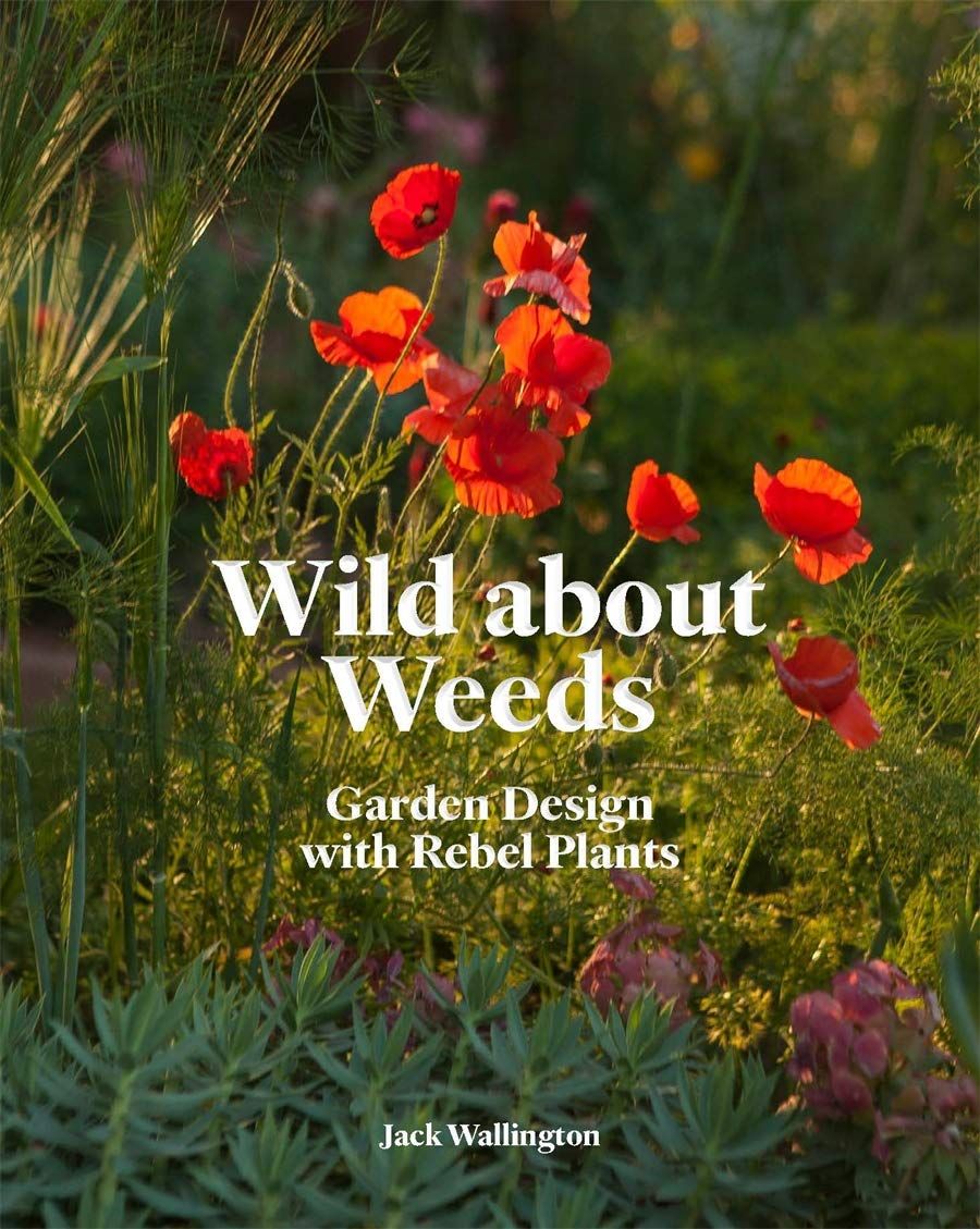 Wild About Weeds_Jack Wallington_9781786275301_Laurence King Publishing