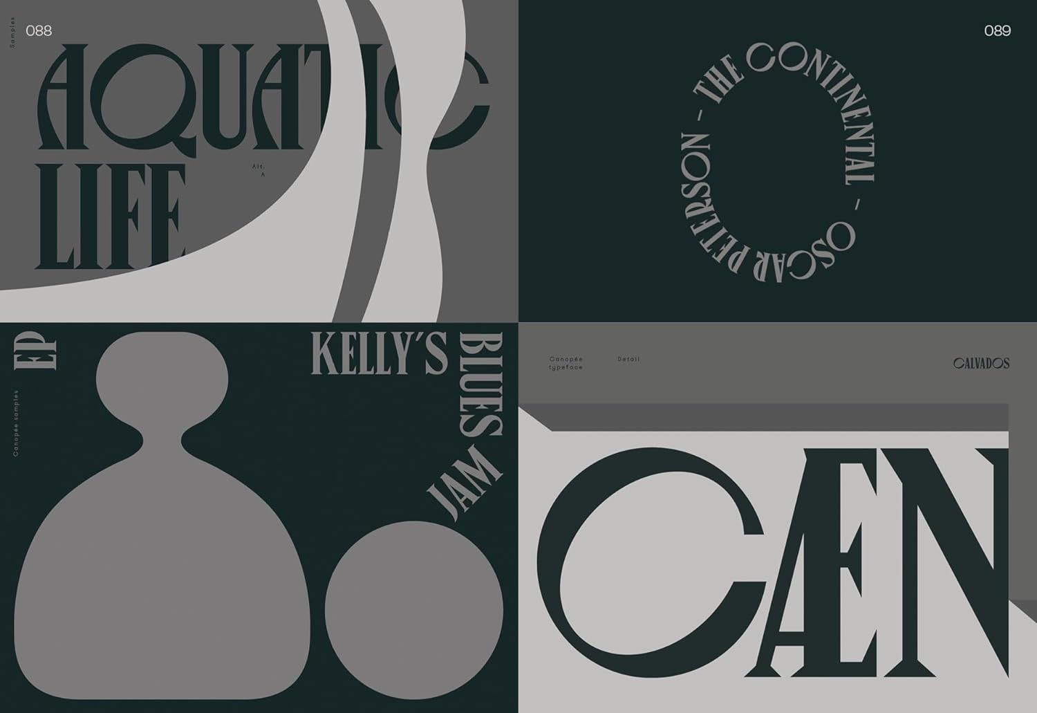 Serif in Use: A Collection of Serif Typefaces