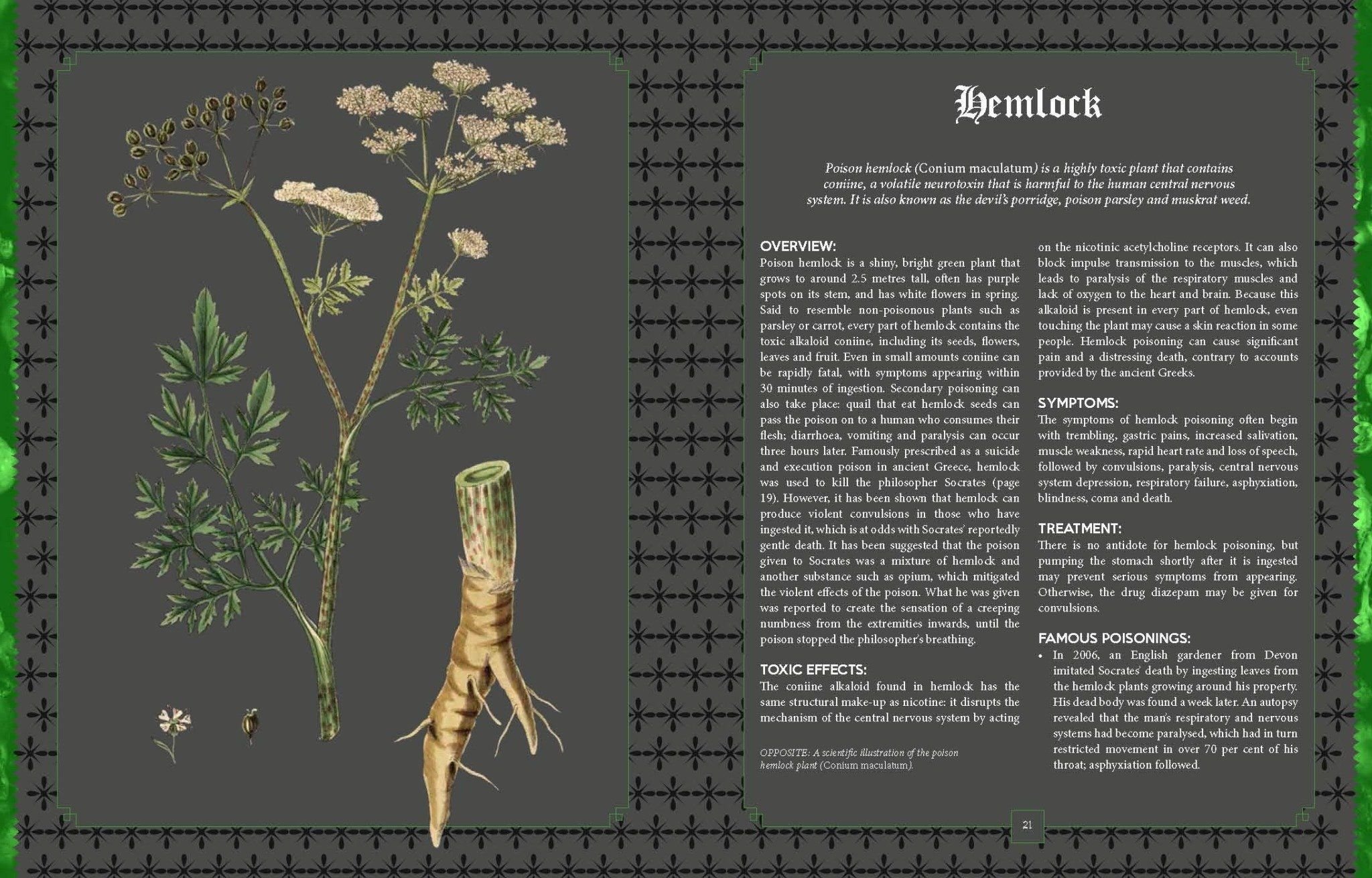 Poison : The History of Potions, Powders and Murderous Practitioners