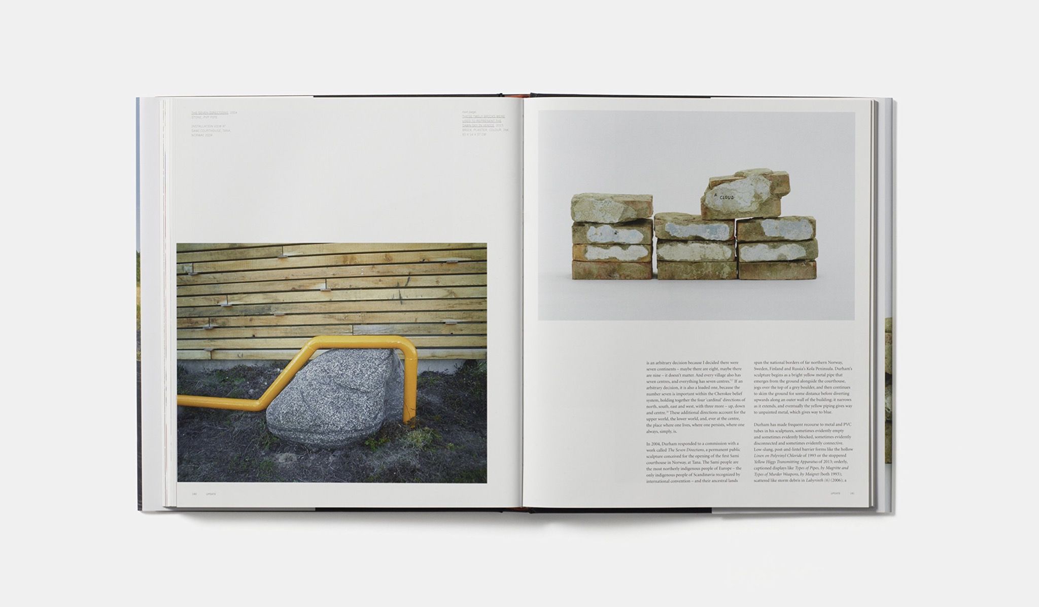 Jimmie Durham - Revised and Expanded Edition: Contemporary Artists series