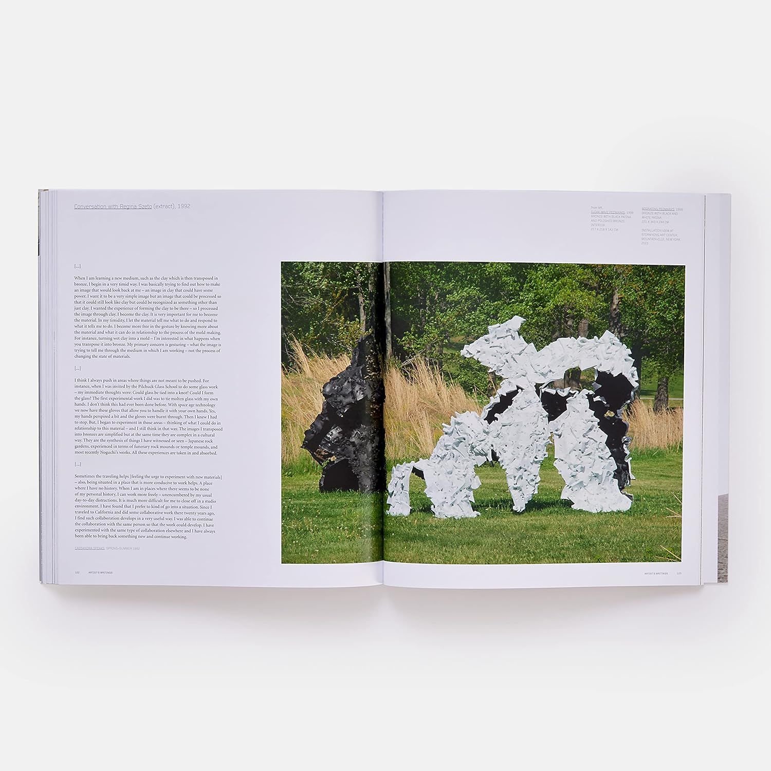 Lynda Benglis (Phaidon Contemporary Artists Series)