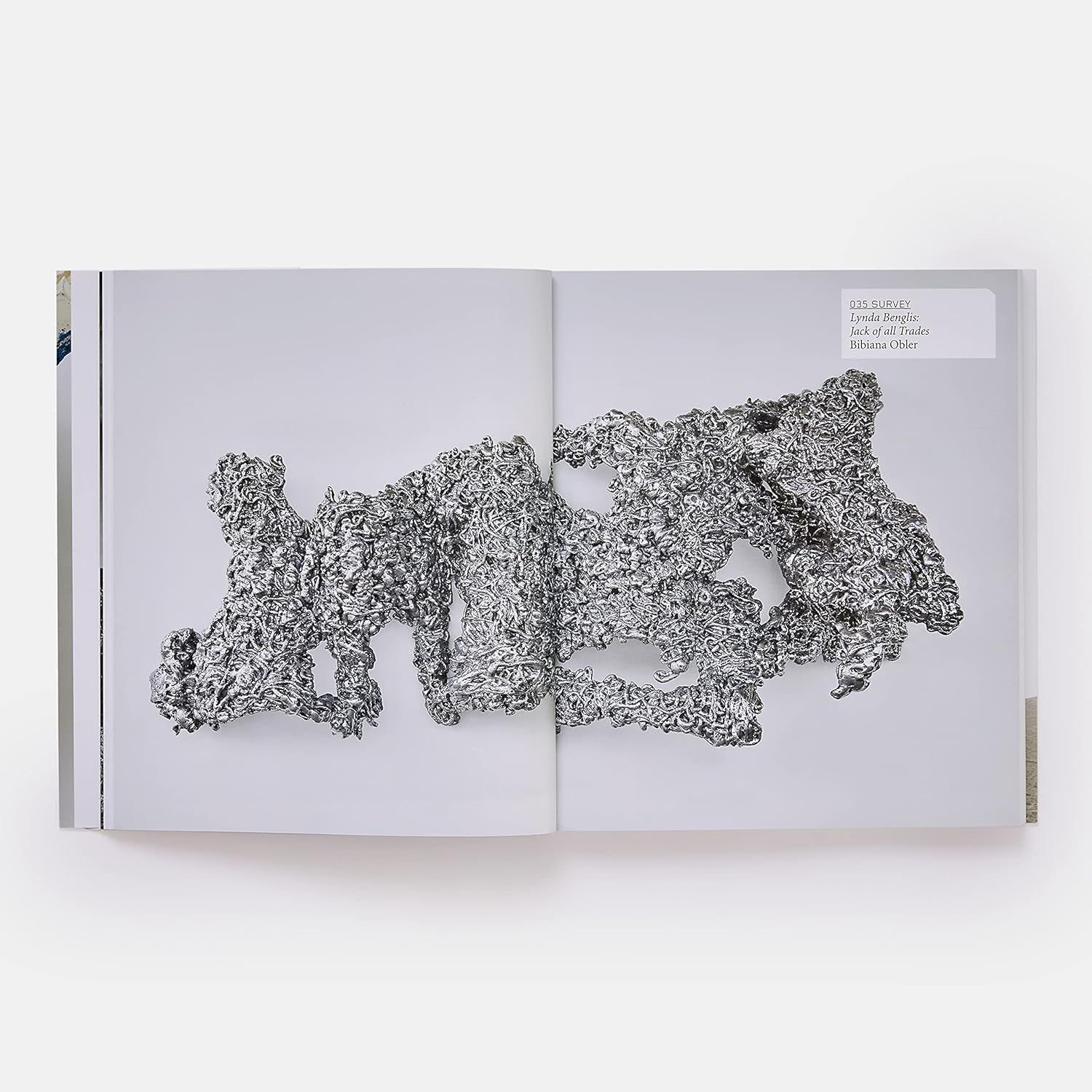 Lynda Benglis (Phaidon Contemporary Artists Series)