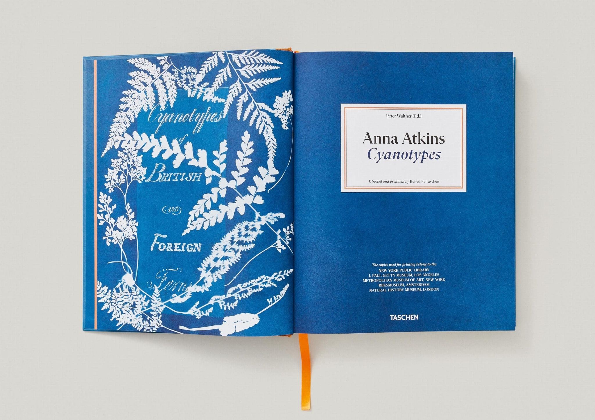 Anna Atkins: Cyanotypes
