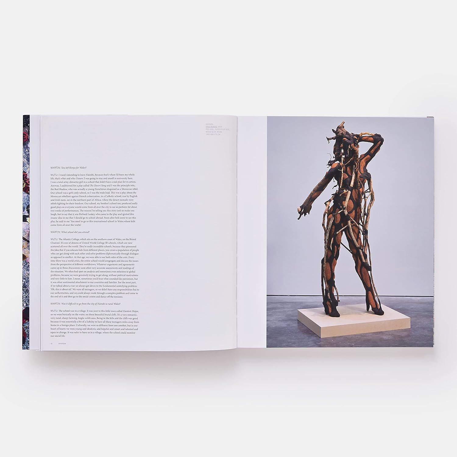Wangechi Mutu (Phaidon Contemporary Artists Series)