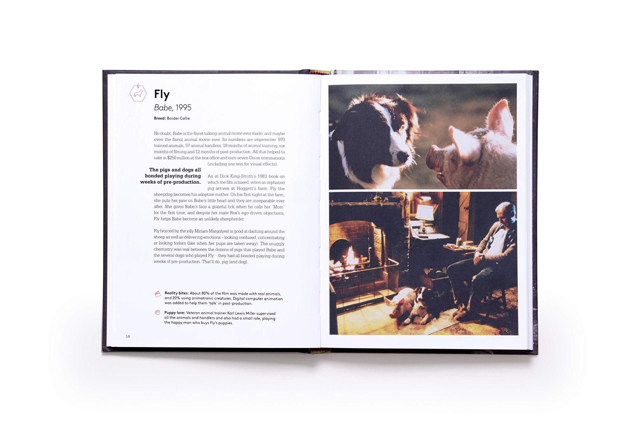 Citizen Canine : Dogs in the Movies_Wendy Mitchell_9781786275745_Laurence King Publishing