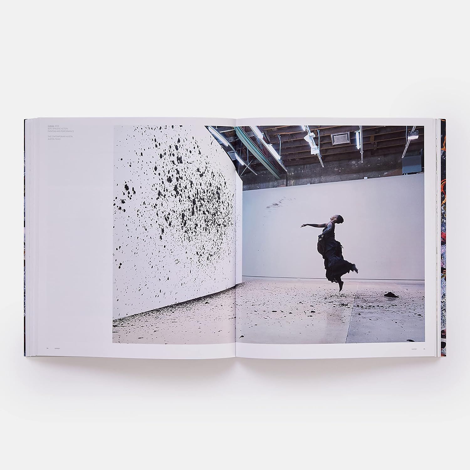 Wangechi Mutu (Phaidon Contemporary Artists Series)