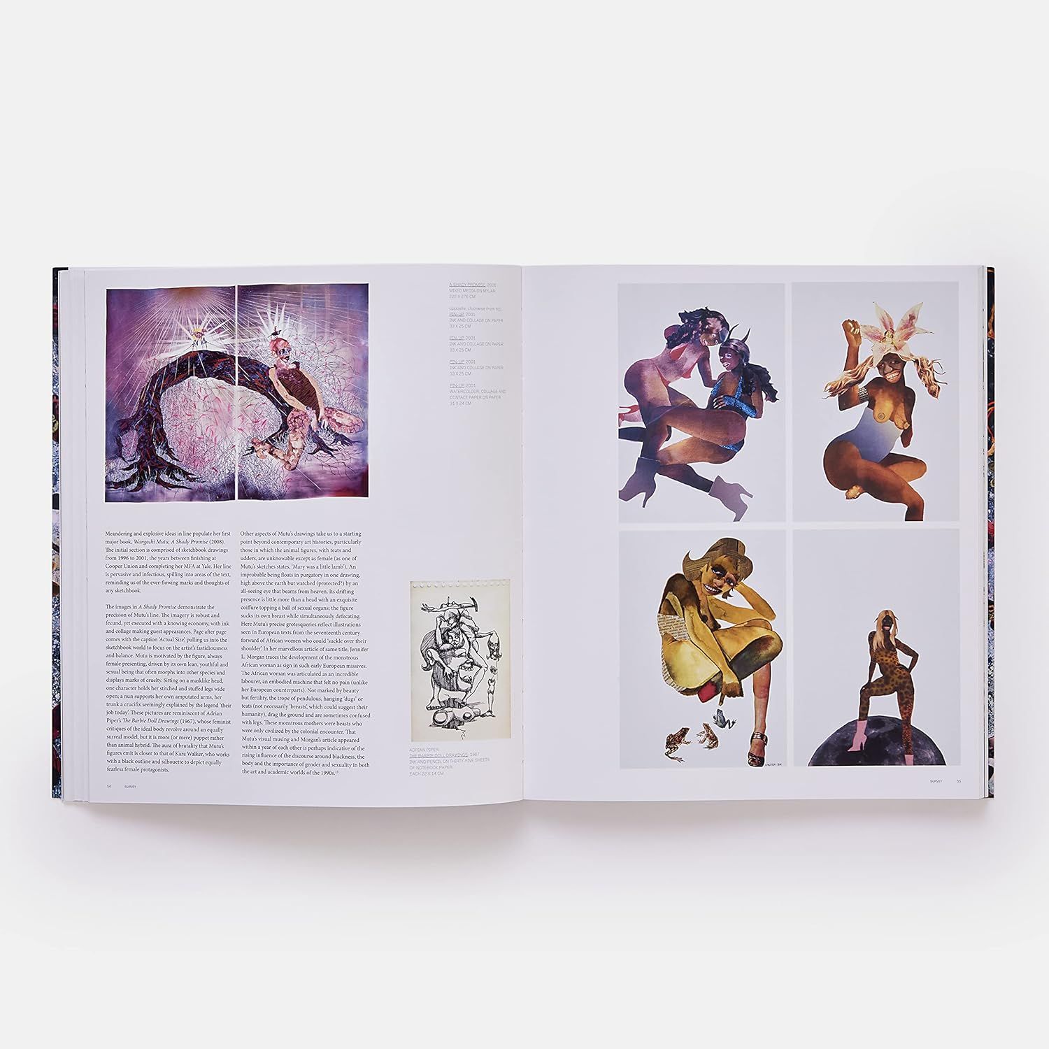 Wangechi Mutu (Phaidon Contemporary Artists Series)