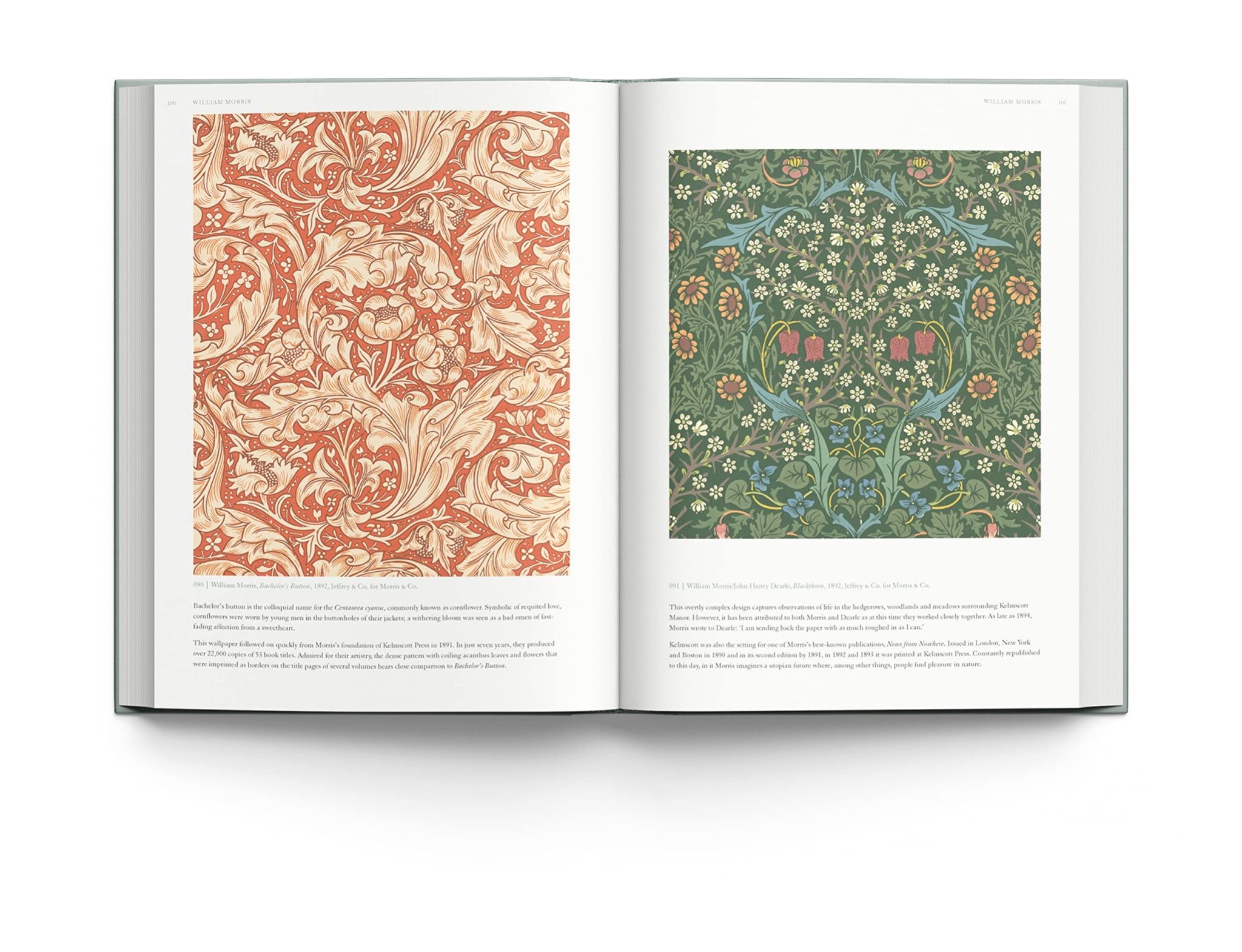 The Art of Wallpaper : Morris & Co. in Context