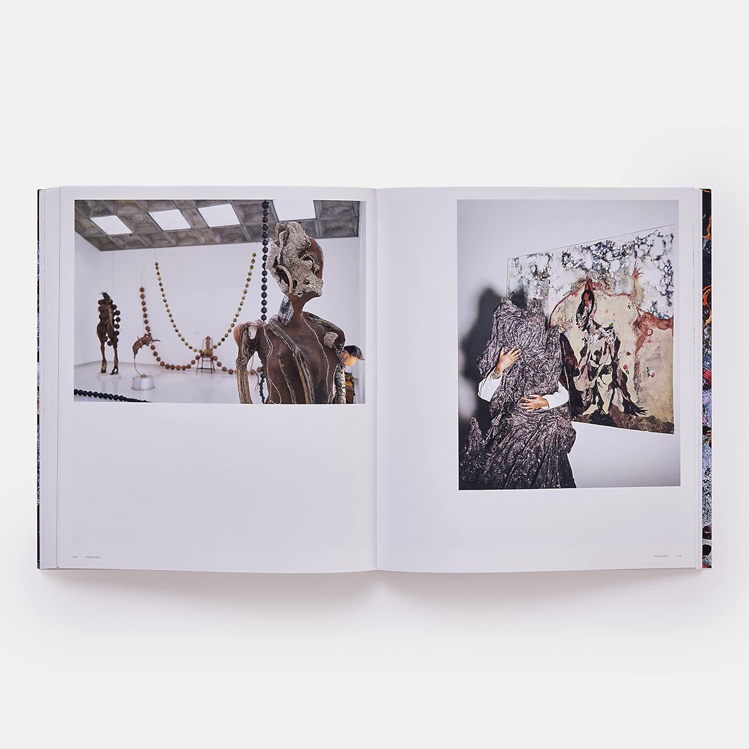 Wangechi Mutu (Phaidon Contemporary Artists Series)