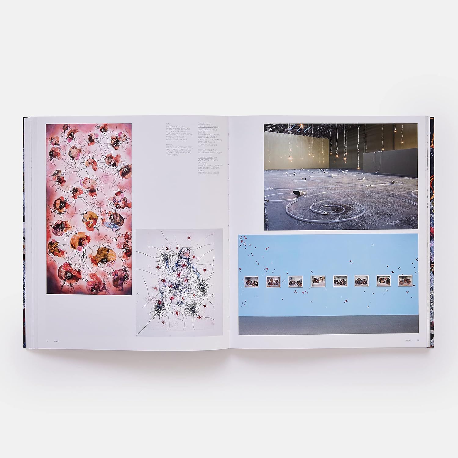 Wangechi Mutu (Phaidon Contemporary Artists Series)