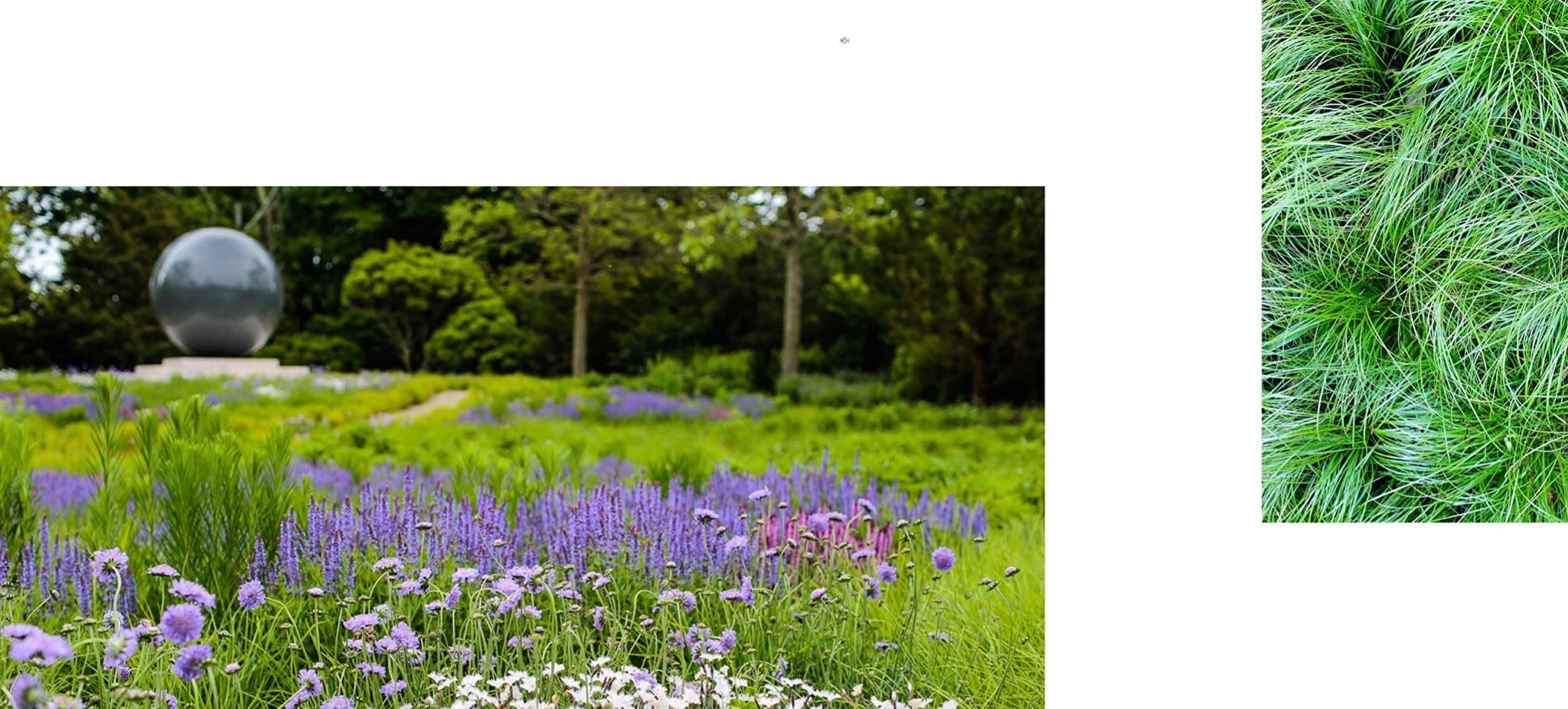Contemporary Gardens of the Hamptons : LaGuardia Design Group 1990-2020