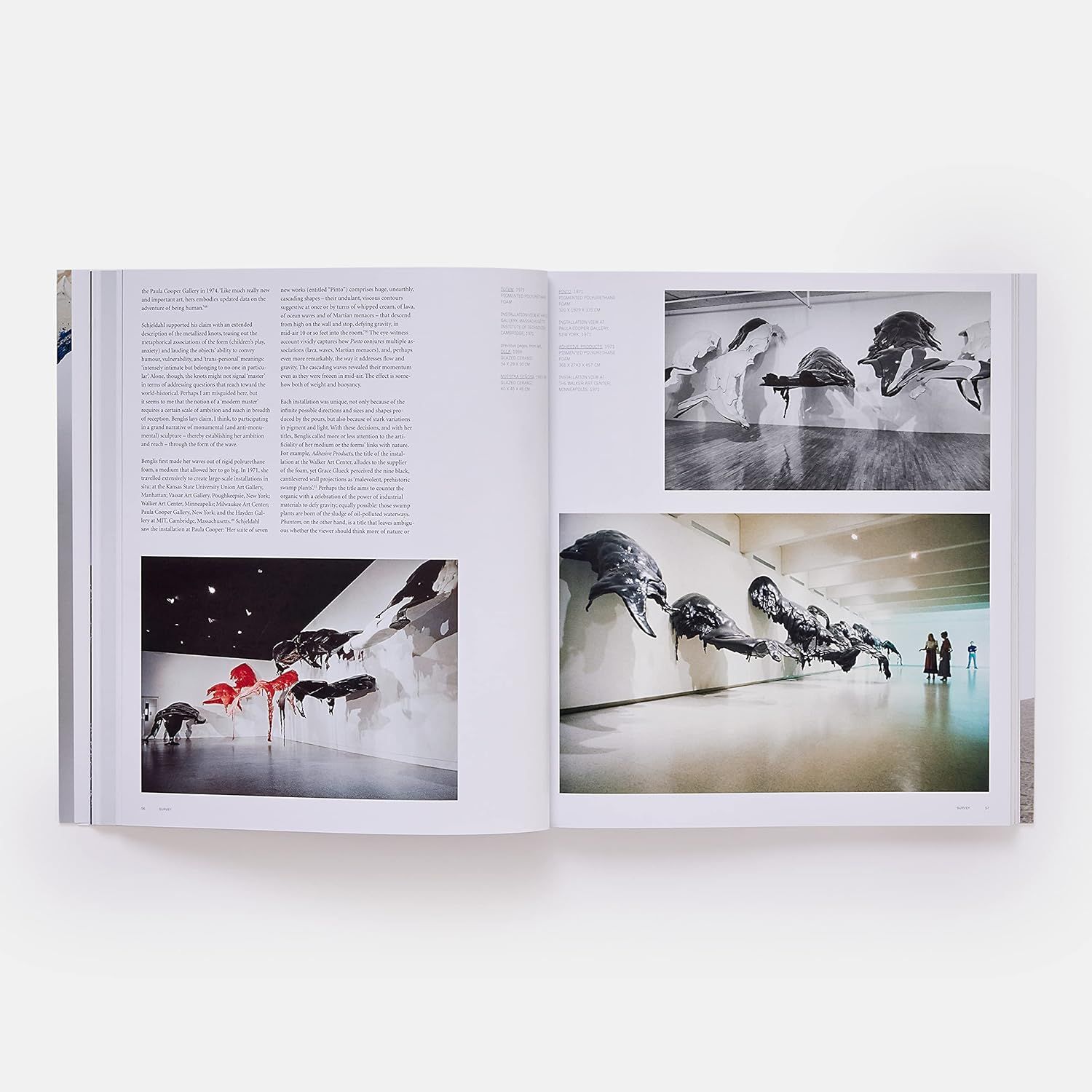 Lynda Benglis (Phaidon Contemporary Artists Series)