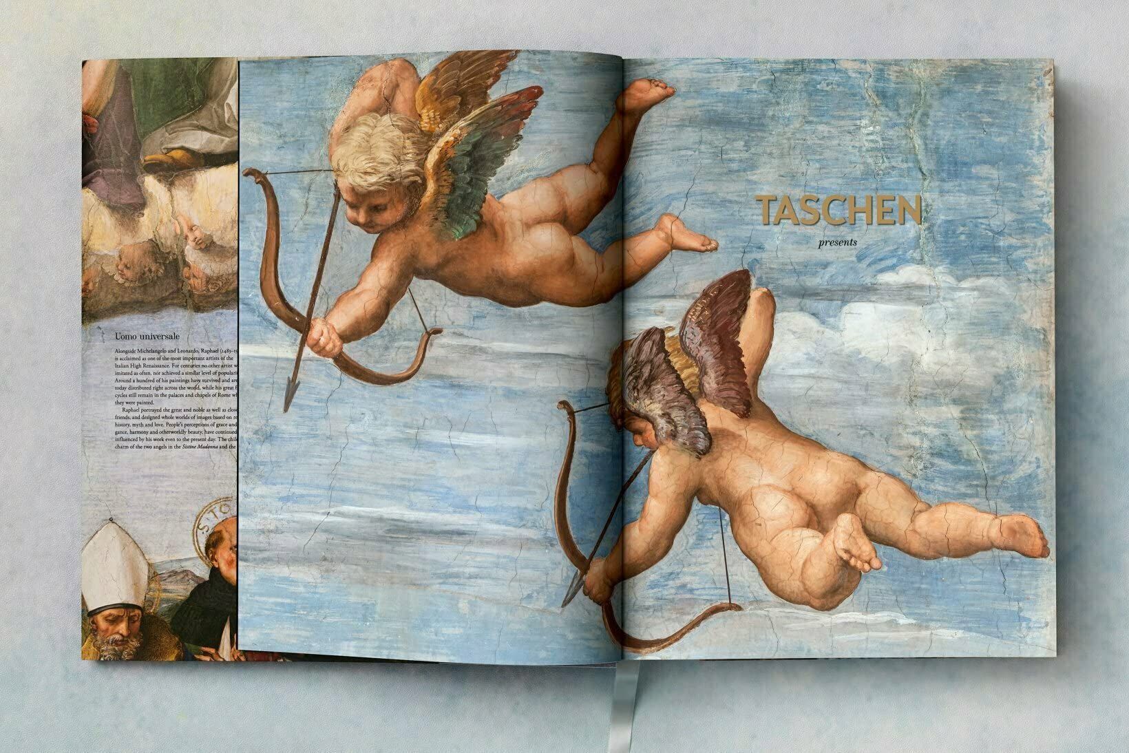 Raphael. The Complete Works. Paintings, Frescoes, Tapestries, Architecture